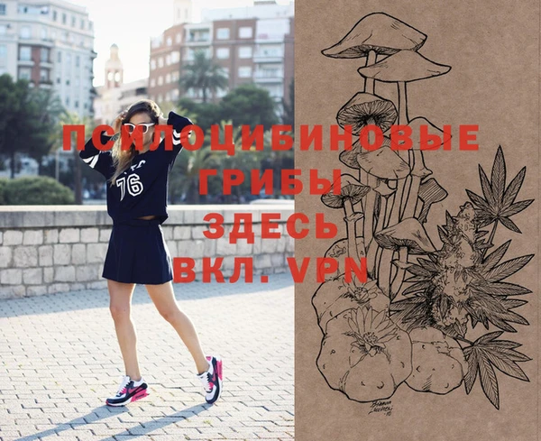 спайс Ладушкин