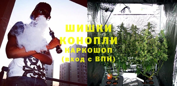 ПСИЛОЦИБИНОВЫЕ ГРИБЫ Лагань