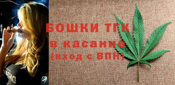ПСИЛОЦИБИНОВЫЕ ГРИБЫ Лагань