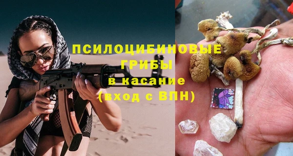 спайс Ладушкин