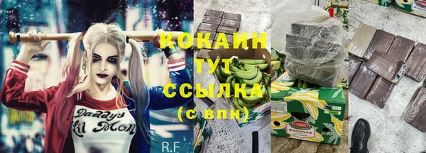 спайс Ладушкин