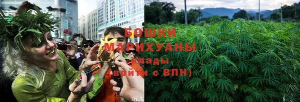 спайс Ладушкин