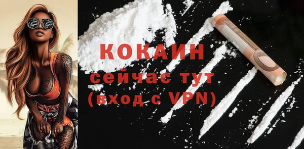 ПСИЛОЦИБИНОВЫЕ ГРИБЫ Лагань