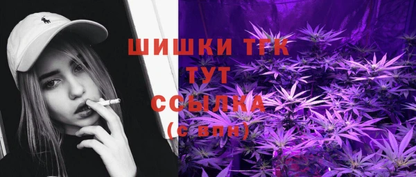 ПСИЛОЦИБИНОВЫЕ ГРИБЫ Лагань